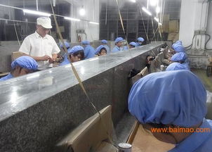 加工PVC玩具塑膠公仔，首選東莞鴻博 品質、價格、服務一站式解決方案